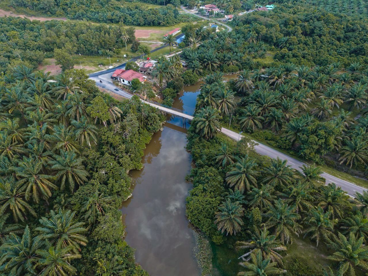 Bukit Pak Junoh Bridge Replacement