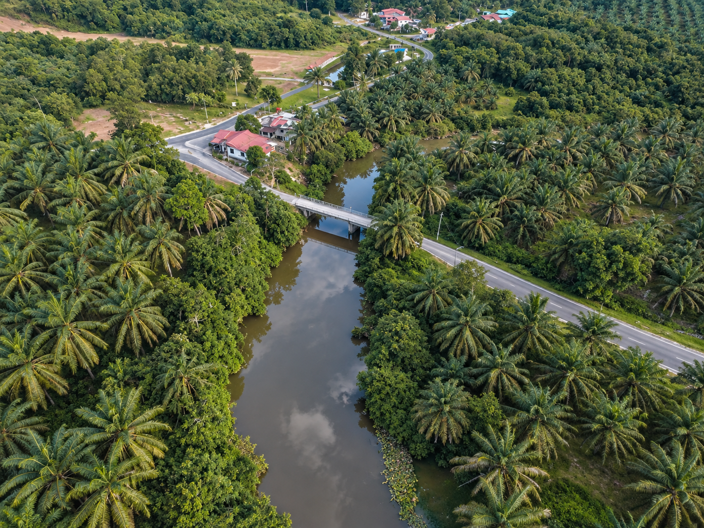 Bukit Pak Junoh Bridge Replacement