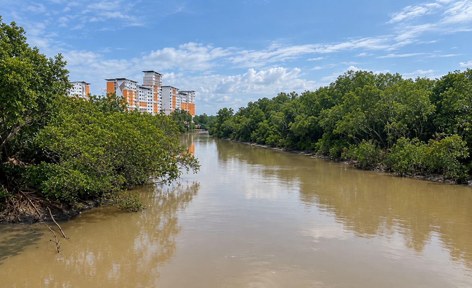 Iskandar Flood Mitigation Master Plan